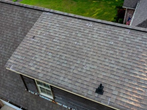 What a Professional Roof Inspection Covers