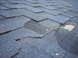 Is Granule Loss in Your Asphalt Shingle Roof a Big Deal?