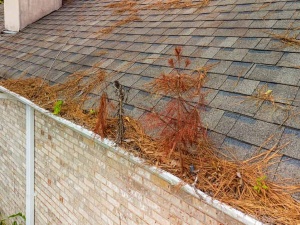 The Most Damaging Debris for Roofs